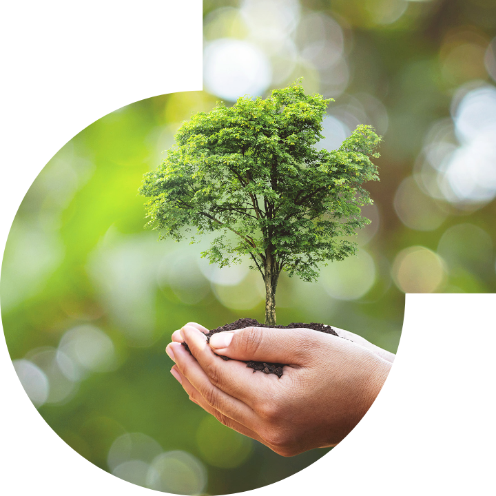 关怀人类、文化、环境与社会